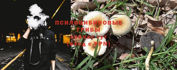 соль курить ск Алексеевка