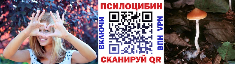 omg ONION  Любим  Галлюциногенные грибы Psilocybe 